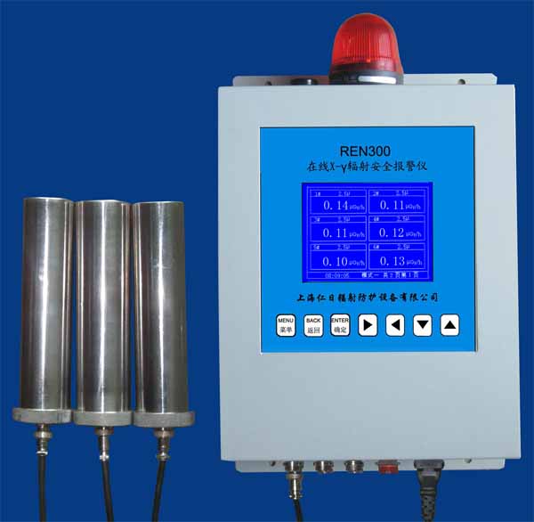 REN300 �����Լ����